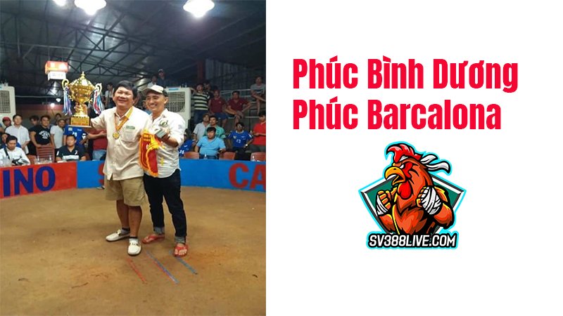 Phuc Binh Duong (Phuc Barcelona)