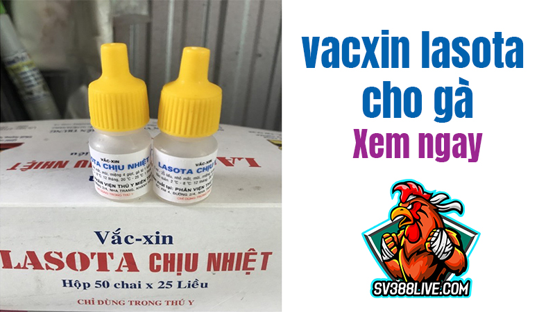 Thời điểm sử dụng thích hợp của vacxin Lasota cho gà